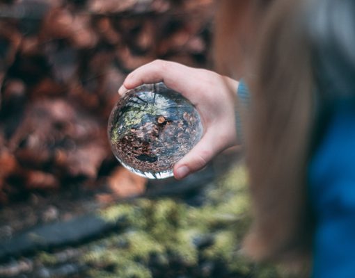 We provide any type of marketing support