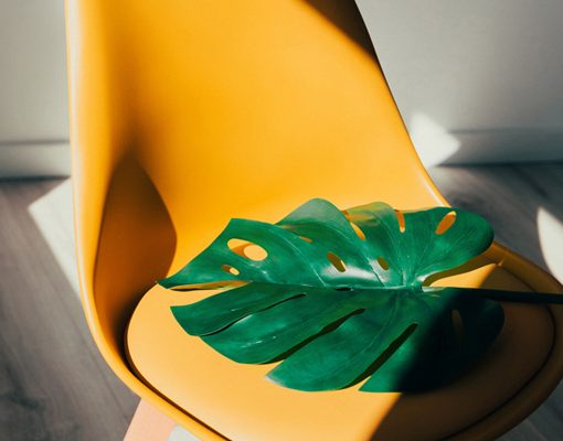 Developing a Webpage for Pilates Tools